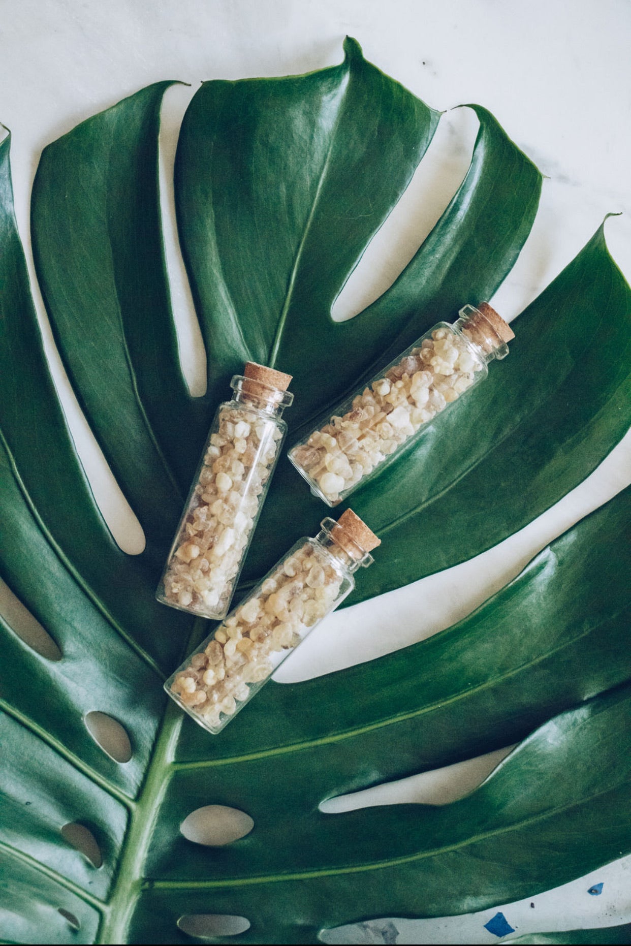 Frankincense Resin - LaRayia's Bodega