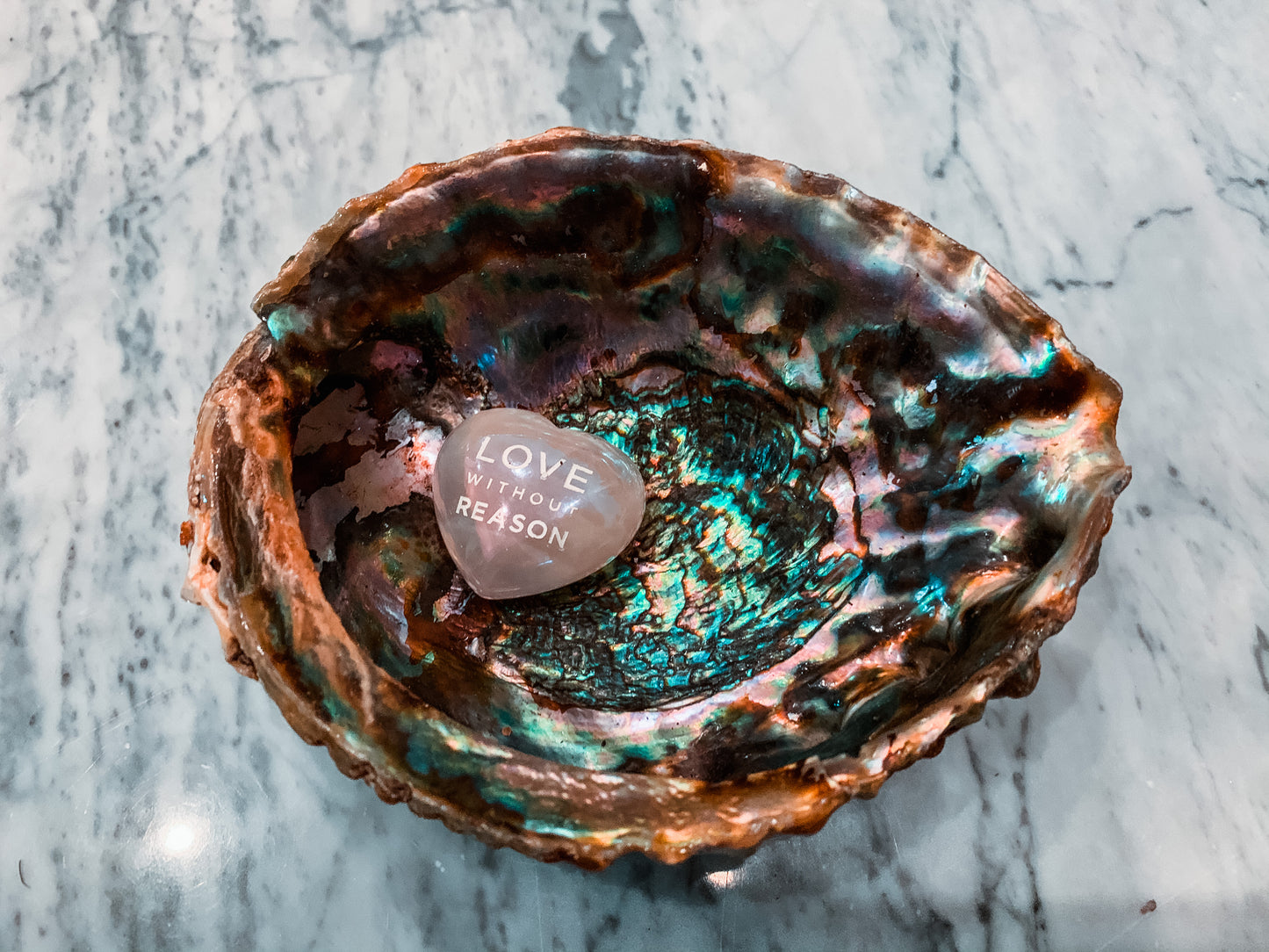 Abalone Shell