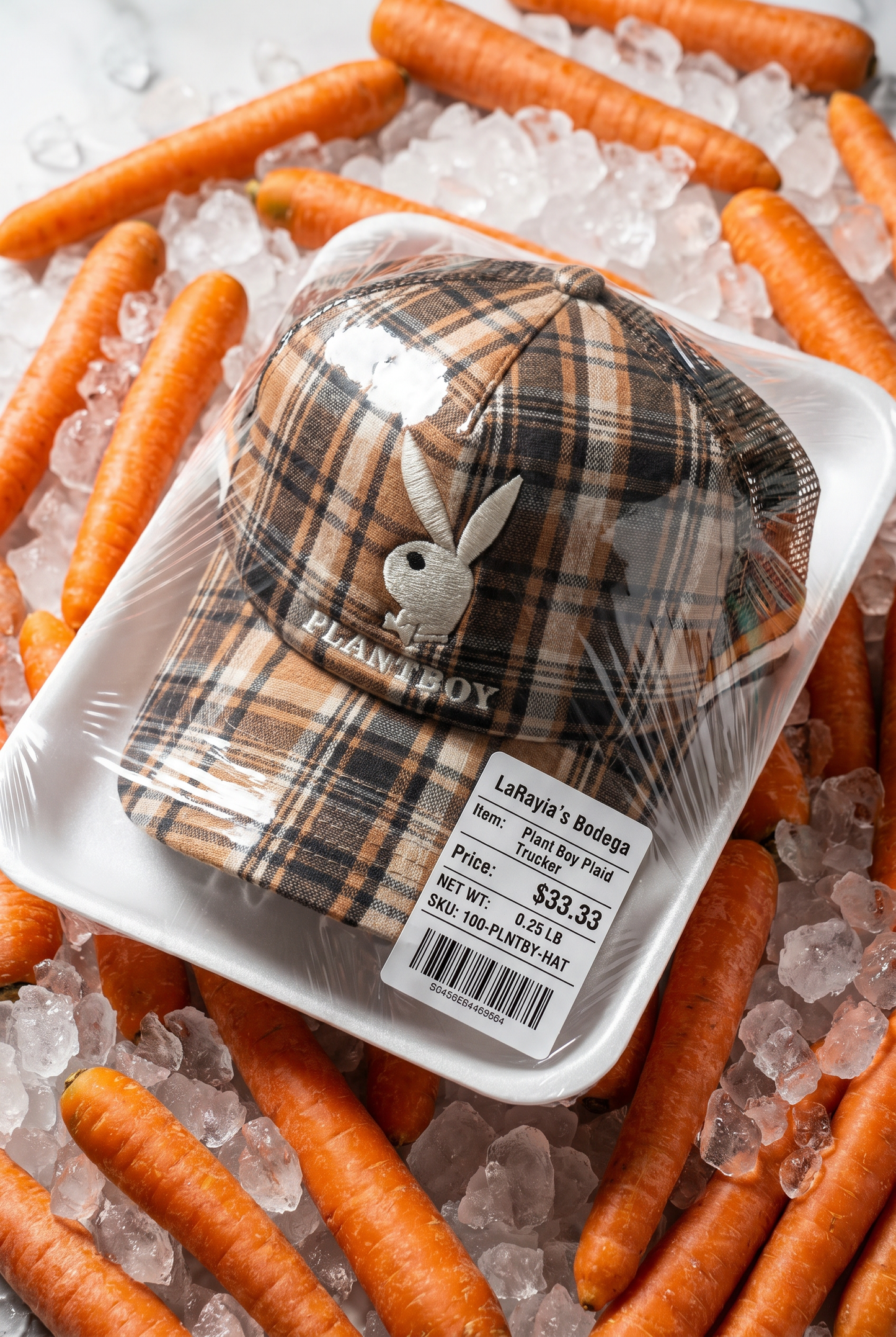 Plant Boy Trucker Hat in Plaid