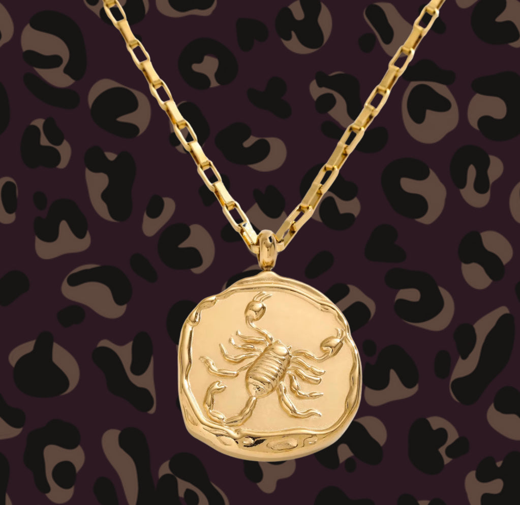 Zodiac Vintage Coin Necklcae