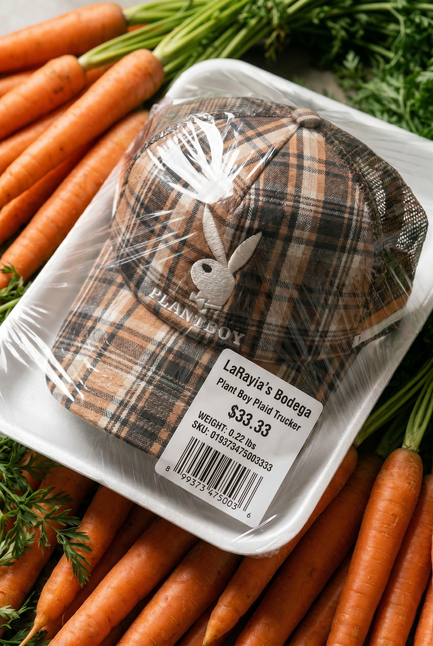 Plant Boy Trucker Hat in Plaid