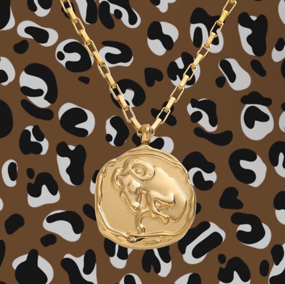 Zodiac Vintage Coin Necklcae