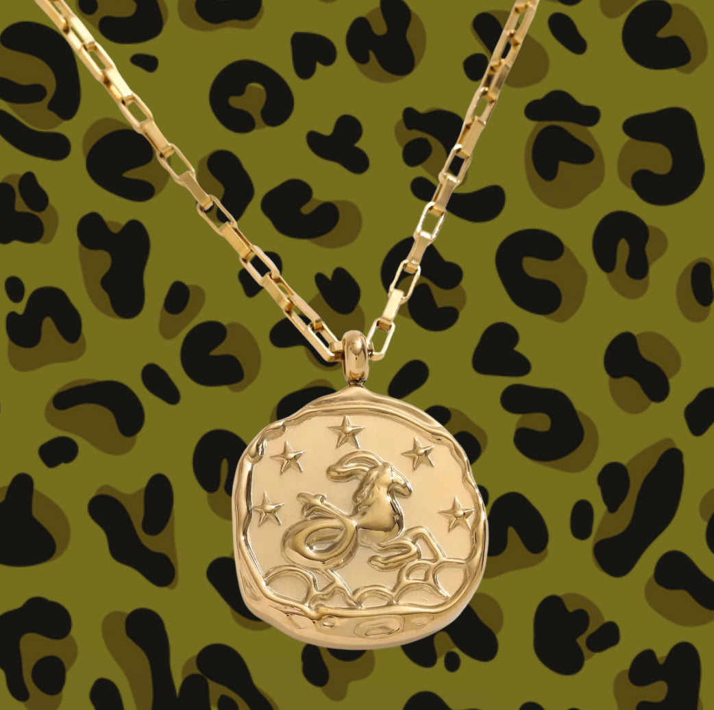 Zodiac Vintage Coin Necklcae