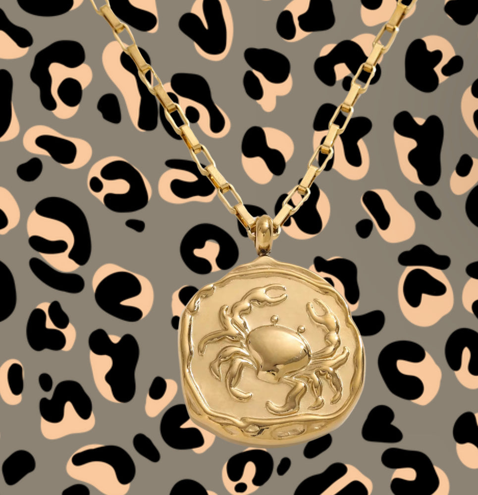 Zodiac Vintage Coin Necklcae