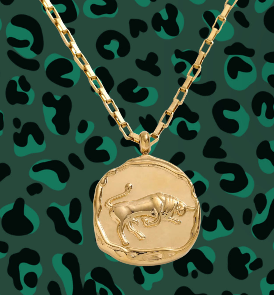 Zodiac Vintage Coin Necklcae